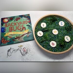 Backyard Bugs Light Book and Activity Set
